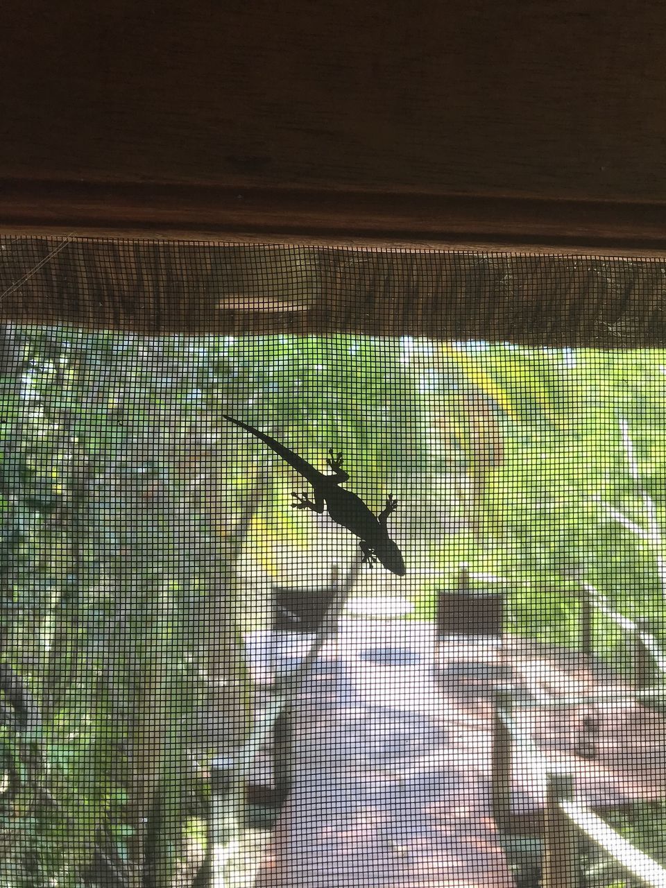 VIEW OF WINDOW IN HOUSE