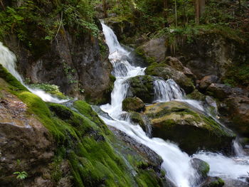 Scenic view of waterfall in forest