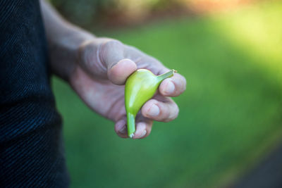 Cropped hand of person holding food