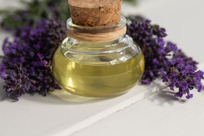 Close-up of purple flower in glass jar on table