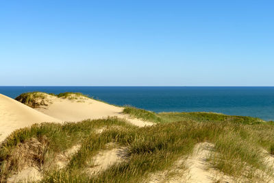 Scenic view of sea against clear sky