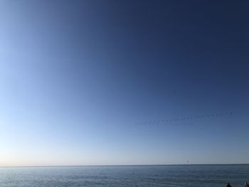 Blue horizon 