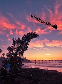 Silhouette trees on beach against sky during sunset