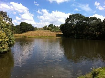 Scenic view of lake against sky