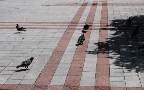 High angle view of people walking on footpath