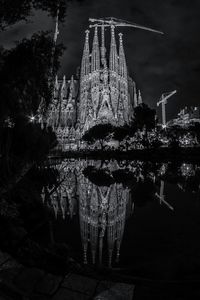 Reflection of trees in water at night