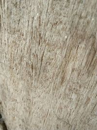 Full frame shot of wooden floor