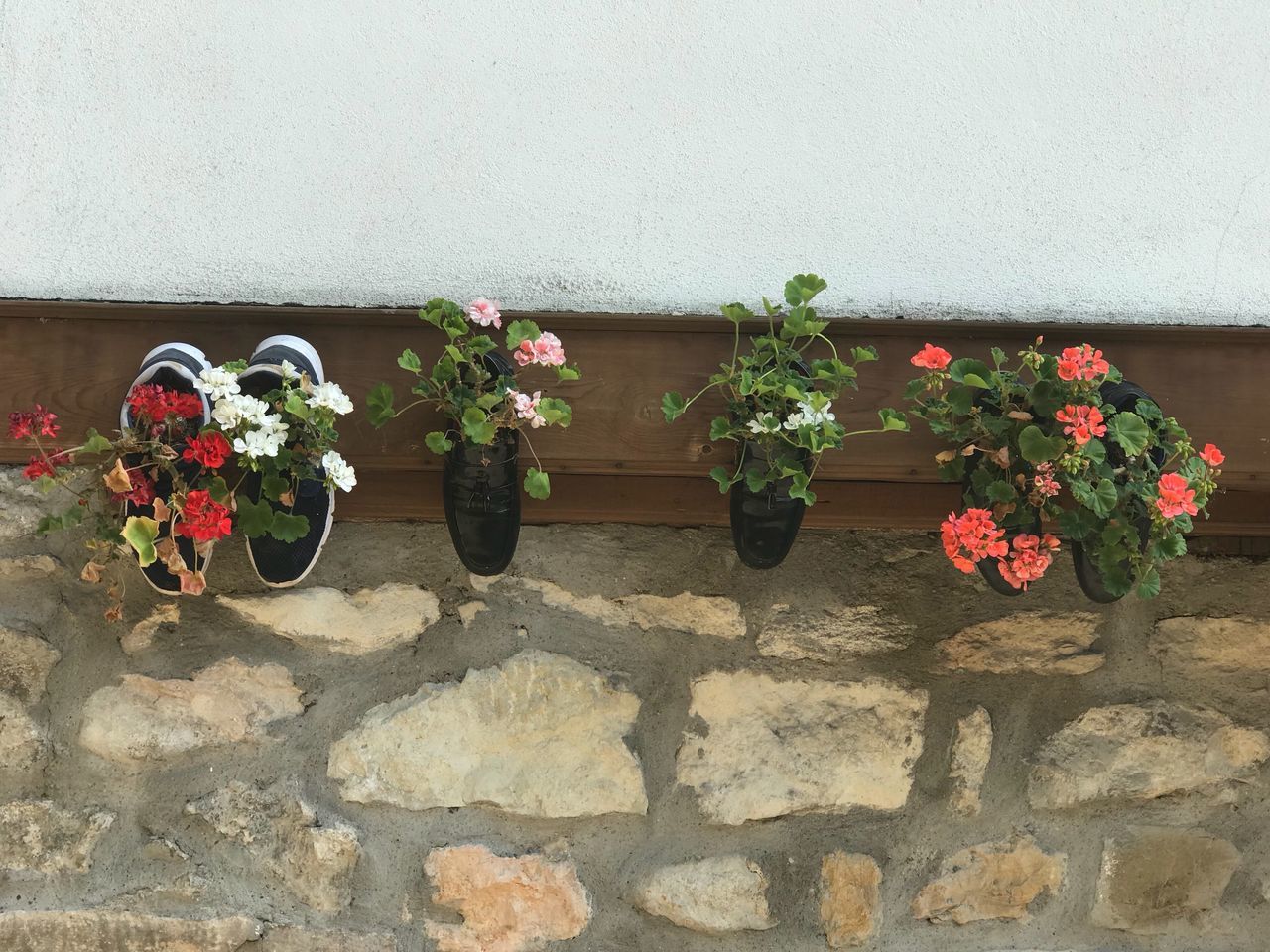 flower, growth, plant, potted plant, window box, fragility, no people, freshness, day, outdoors, nature, red, flower head, blooming, leaf, beauty in nature, architecture, close-up