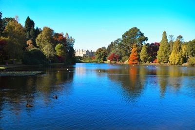 Scenic view of lake in front of trees against clear blue sky