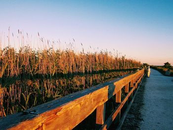 Scenic view of field against clear sky during sunset