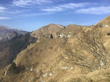 Scenic view of landscape and mountains against sky