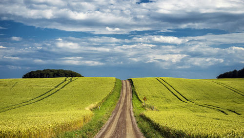 Scenic view of agricultural field against sky