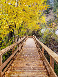 Footbridge amidst trees during autumn