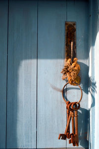 Close-up of old wooden door