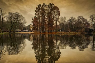 Reflection of trees in lake against sky