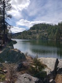 Scenic view of lake in forest against sky