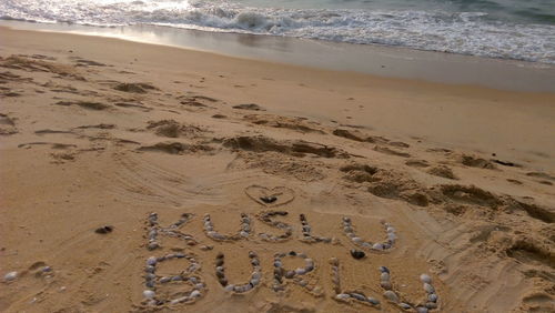 Scenic view of beach