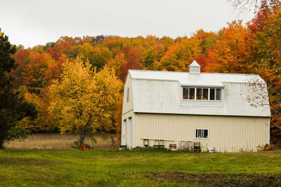 House on field