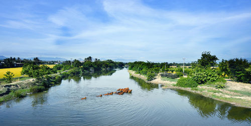High angle view of river amidst trees against sky