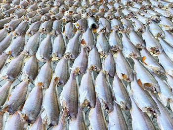 Full frame shot of fish for sale in market