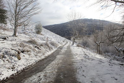 Road amidst trees and snowcapped mountains against sky