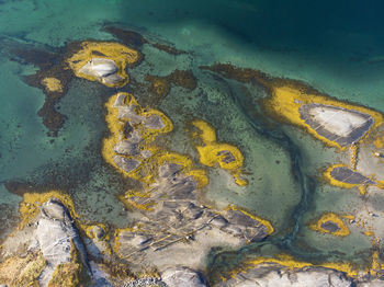 High angle view of a turtle