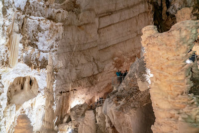 Rear view of man standing on rock