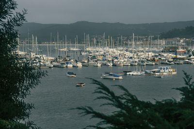 Boats moored in sea against clear sky