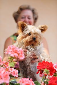 Woman holding dog