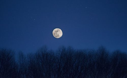 Low angle view of moon in sky