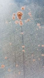 Full frame shot of snow