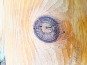 Full frame shot of tree