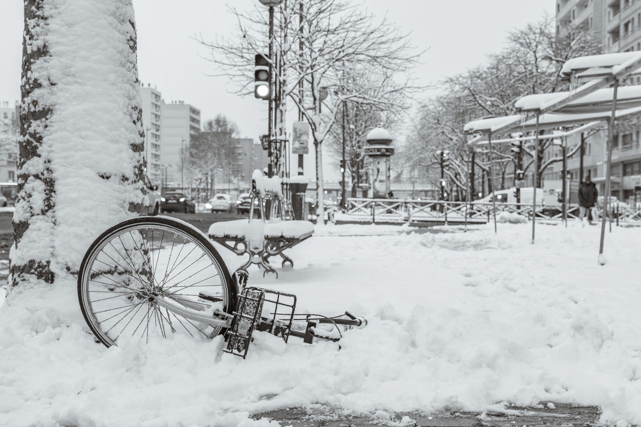 BICYCLE PARKED BY FROZEN BARE TREE