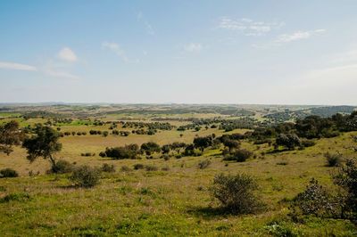 Scenic view of landscape against sky