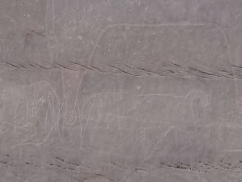 High angle view of snow on land