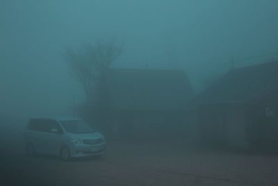 Bare trees in foggy weather at night