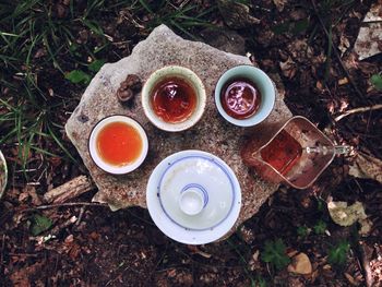 High angle view of tea cup on field