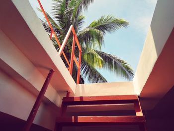 Low angle view of palm tree by building against sky