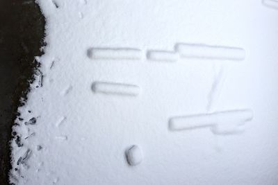 Snow covered trees