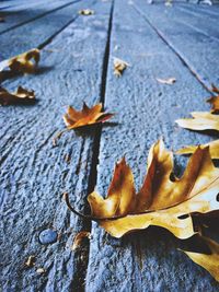 Close-up of fallen autumn leaves on wooden footpath
