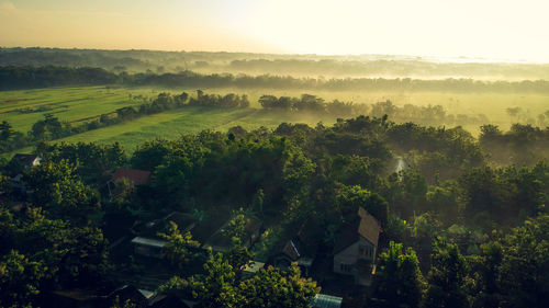 Scenic view of landscape against clear sky