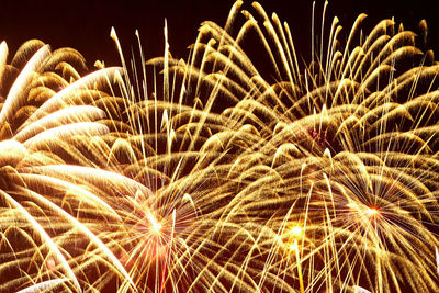 Low angle view of firework display at night