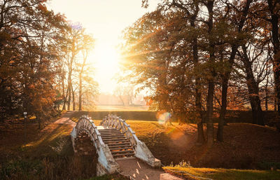 Sun shining through trees in park during sunset