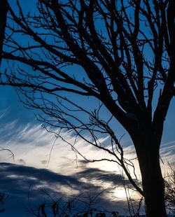 Low angle view of bare tree against sky