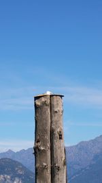 View of wooden post on mountain against blue sky