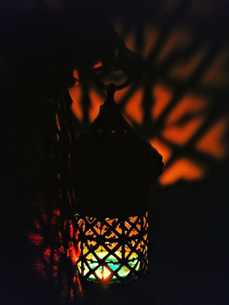 CLOSE-UP OF ILLUMINATED LANTERN ON PLANT