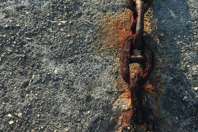 Close-up of rusty chain