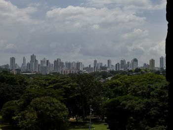 Trees and buildings in city against sky