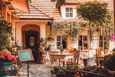 Potted plants on table by building