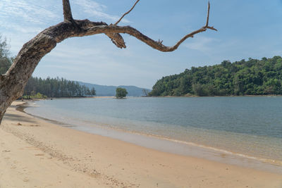 Scenic view of beach against sky